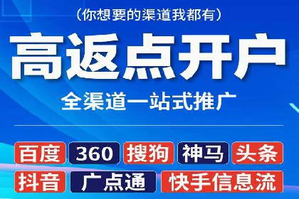 SEO与百度推广结合的营销策略——经典案例解析