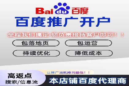 信息流广告成功案例分析
